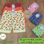 بونتي نايلو السيري 12