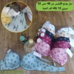 السيري 12 D ستيان دبل بونج