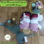 حجرة سيري 12 C  دبل بونج